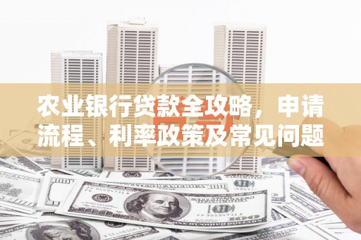 武冈农业银行贷款全攻略，申请流程、利率政策及常见问题解析