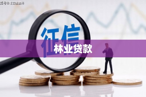 武冈林业贷款