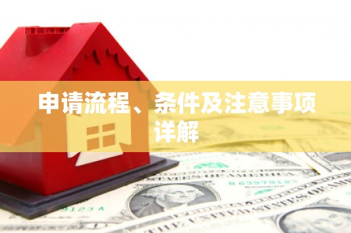 武冈申请流程、条件及注意事项详解