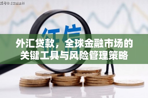 武冈外汇贷款，全球金融市场的关键工具与风险管理策略