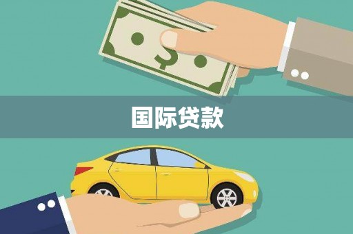 武冈国际贷款