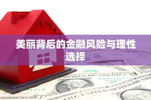 武冈美丽背后的金融风险与理性选择