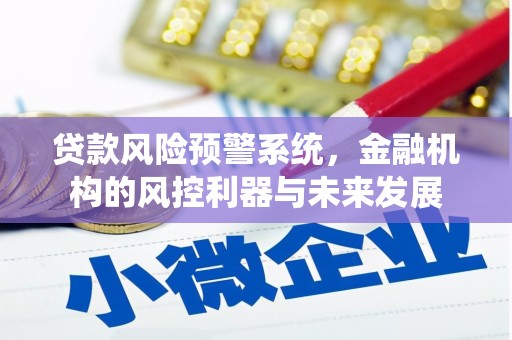 武冈贷款风险预警系统，金融机构的风控利器与未来发展