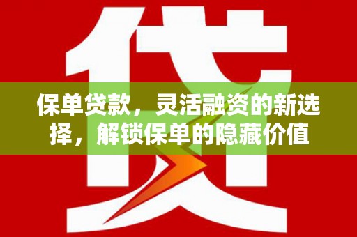 武冈保单贷款，灵活融资的新选择，解锁保单的隐藏价值