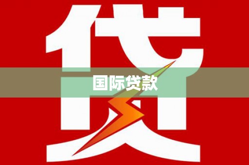 武冈国际贷款