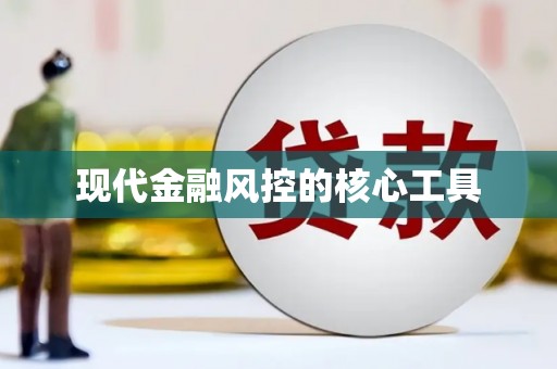 武冈现代金融风控的核心工具
