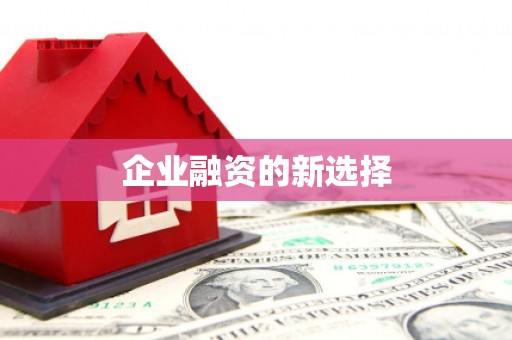 武冈企业融资的新选择