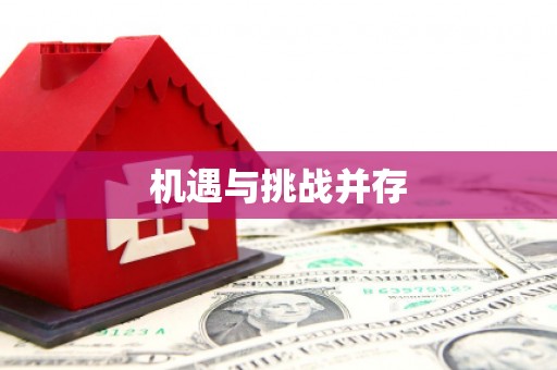 武冈机遇与挑战并存