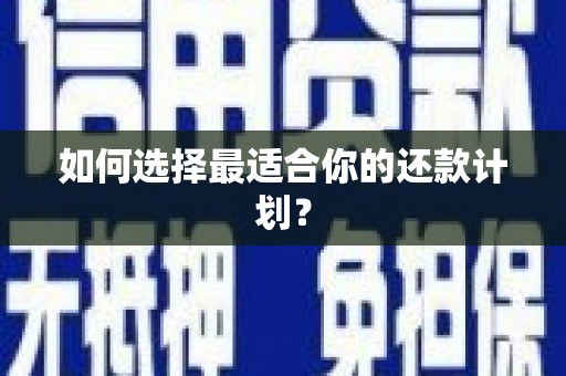 武冈如何选择最适合你的还款计划？