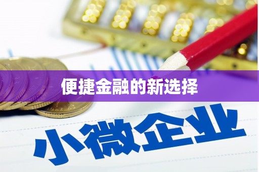 武冈便捷金融的新选择