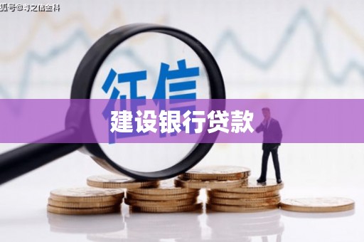 武冈建设银行贷款
