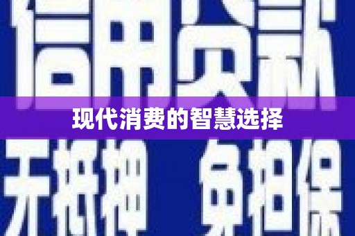 武冈现代消费的智慧选择
