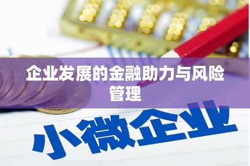 武冈企业发展的金融助力与风险管理