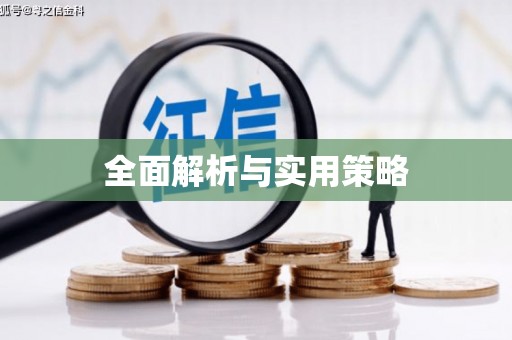 武冈全面解析与实用策略