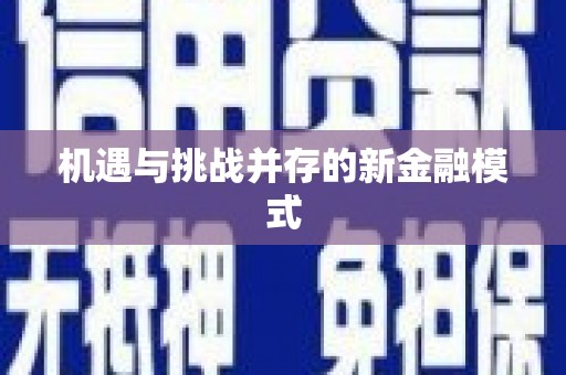 武冈机遇与挑战并存的新金融模式