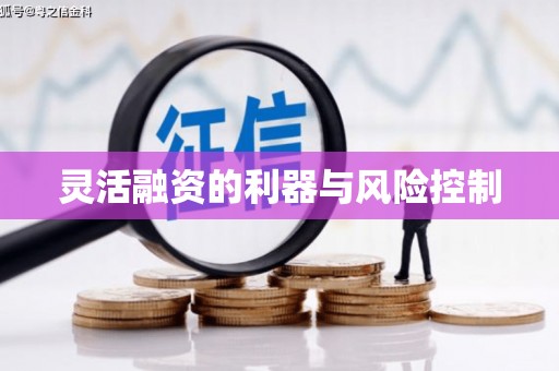 武冈灵活融资的利器与风险控制