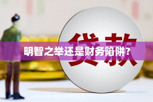 武冈明智之举还是财务陷阱？