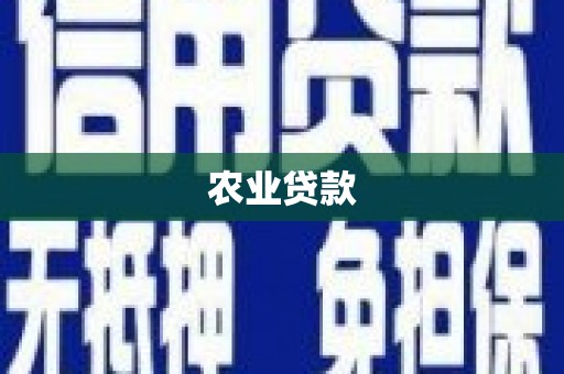 武冈农业贷款
