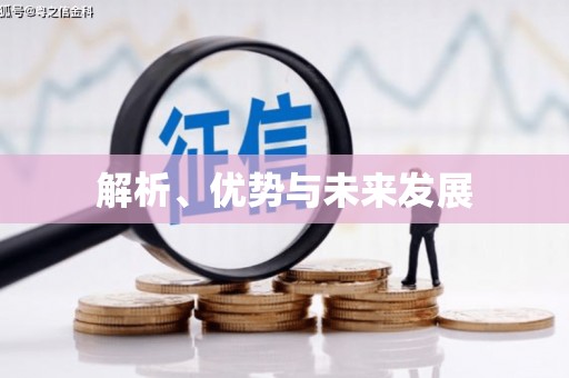 武冈解析、优势与未来发展