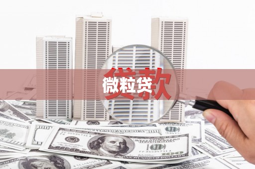 武冈微粒贷