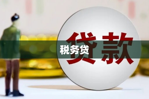 武冈税务贷