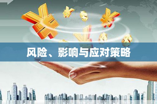 武冈风险、影响与应对策略