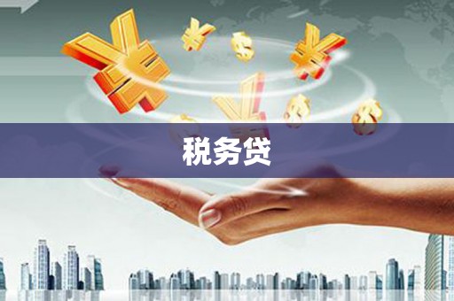 武冈税务贷