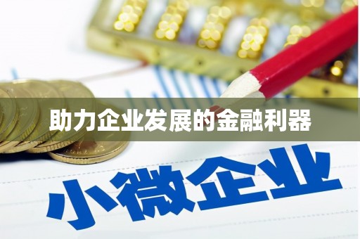 武冈助力企业发展的金融利器