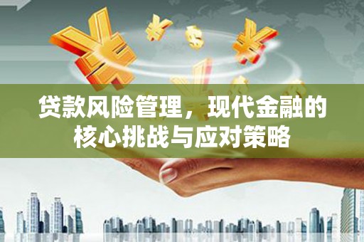 武冈贷款风险管理，现代金融的核心挑战与应对策略