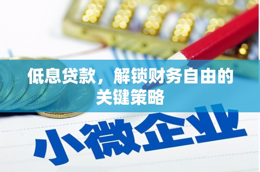 武冈低息贷款，解锁财务自由的关键策略