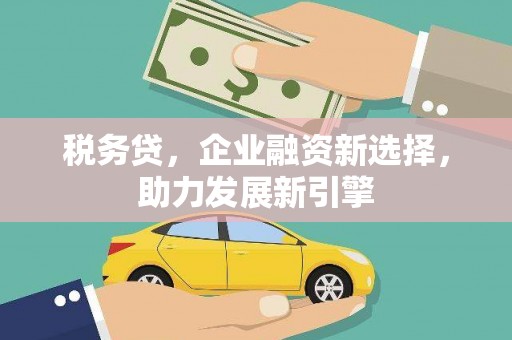 武冈税务贷，企业融资新选择，助力发展新引擎
