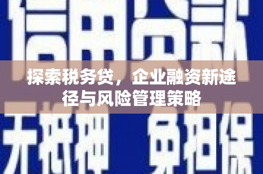 武冈探索税务贷，企业融资新途径与风险管理策略
