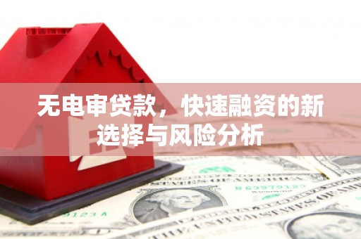 武冈无电审贷款，快速融资的新选择与风险分析