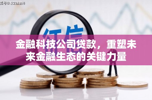 武冈金融科技公司贷款，重塑未来金融生态的关键力量