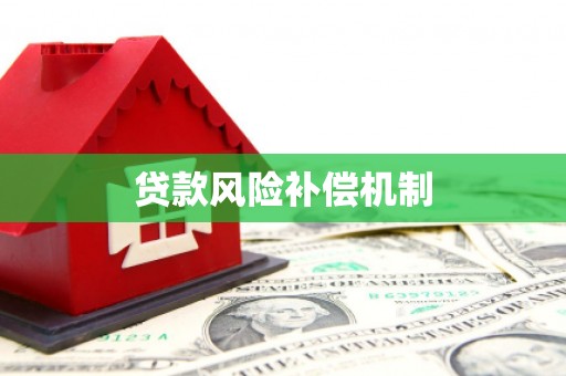 武冈贷款风险补偿机制