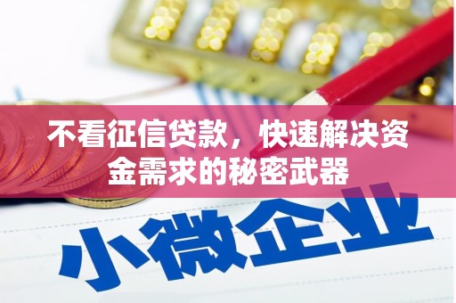武冈不看征信贷款，快速解决资金需求的秘密武器