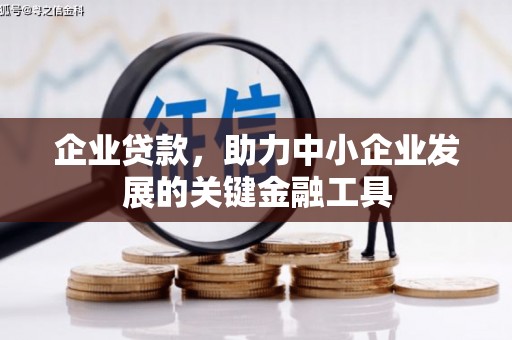 武冈企业贷款，助力中小企业发展的关键金融工具