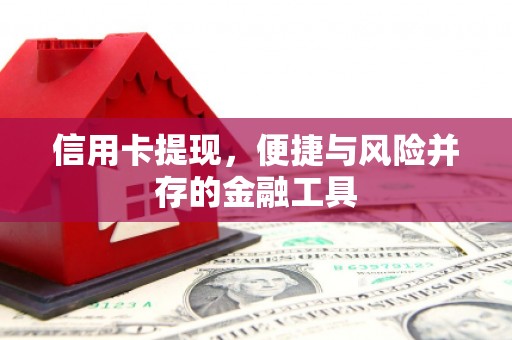 武冈信用卡提现，便捷与风险并存的金融工具