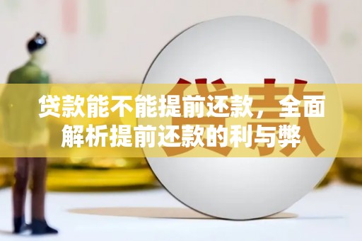 武冈贷款能不能提前还款，全面解析提前还款的利与弊