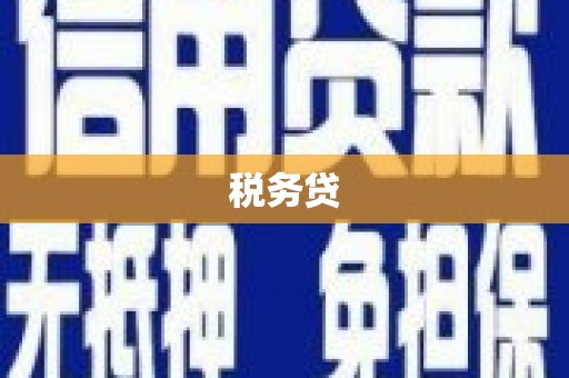 武冈税务贷