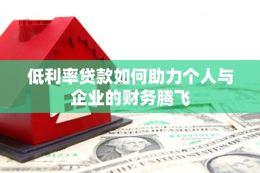 武冈低利率贷款如何助力个人与企业的财务腾飞