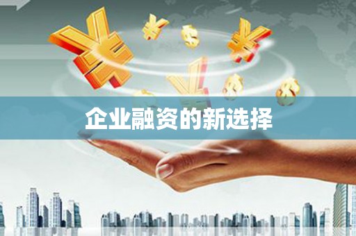 武冈企业融资的新选择