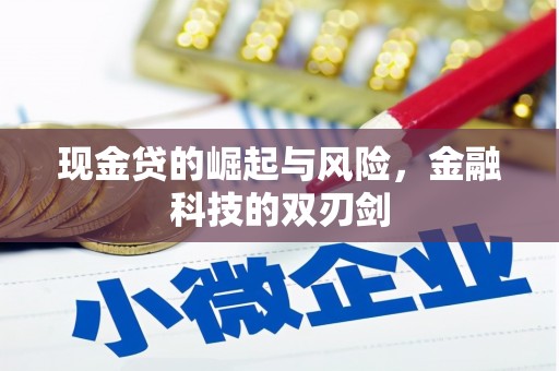 武冈现金贷的崛起与风险，金融科技的双刃剑