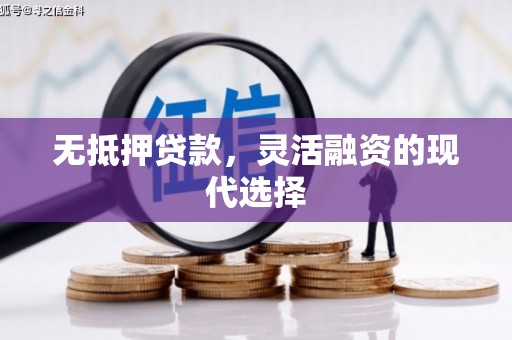 武冈无抵押贷款，灵活融资的现代选择