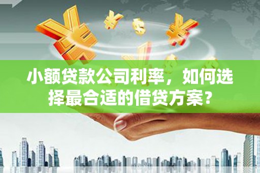 武冈小额贷款公司利率，如何选择最合适的借贷方案？