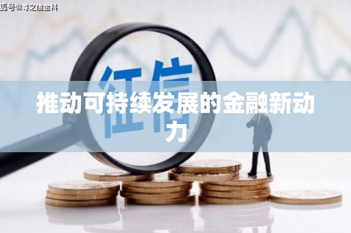 武冈推动可持续发展的金融新动力