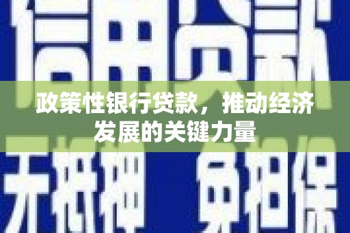 武冈政策性银行贷款，推动经济发展的关键力量