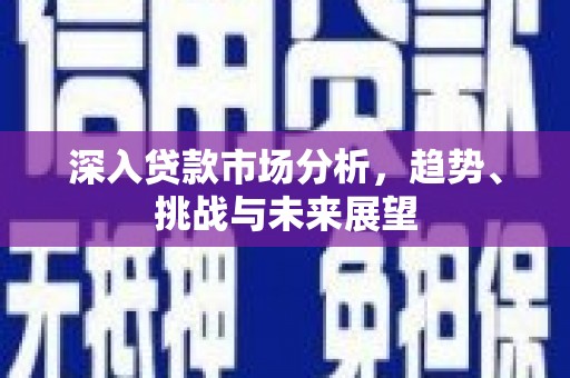 武冈深入贷款市场分析，趋势、挑战与未来展望