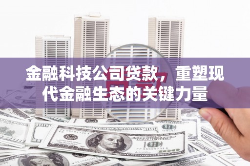 武冈金融科技公司贷款，重塑现代金融生态的关键力量