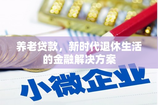 武冈养老贷款，新时代退休生活的金融解决方案